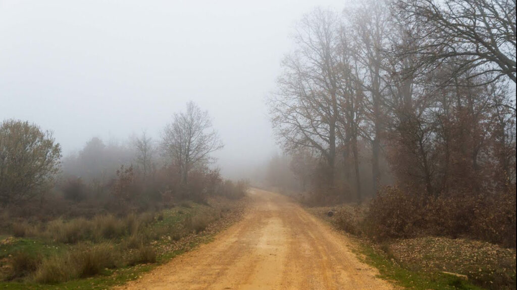 Second Sunday of Advent – December 5, 2021 (Contemporary)