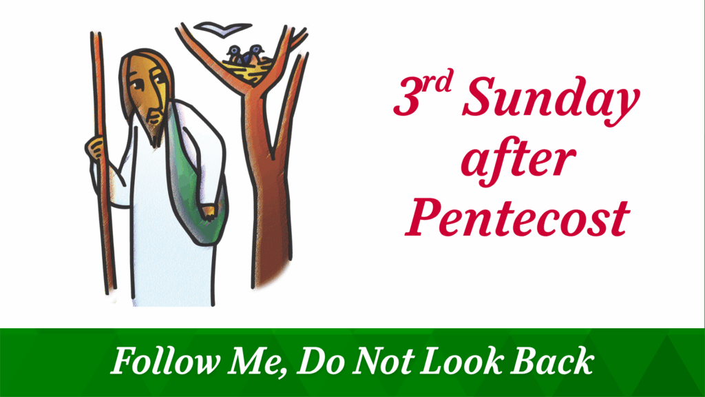 3rd Sunday after Pentecost – June 29, 2025