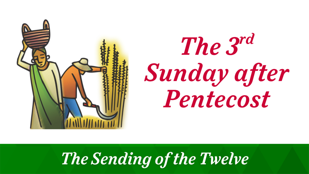 The 3rd Sunday after Pentecost – June 14, 2026