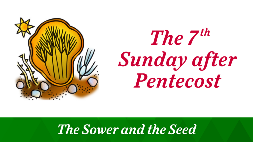 The 7th Sunday after Pentecost – July 12, 2026