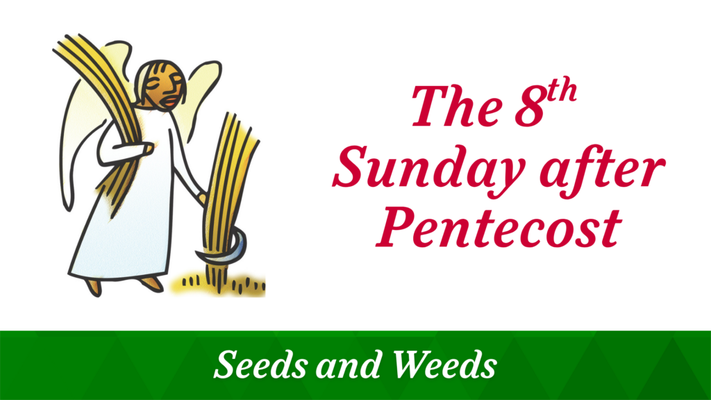 The 8th Sunday after Pentecost – July 19, 2026